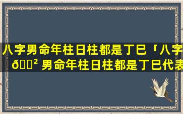 八字男命年柱日柱都是丁巳「八字 🌲 男命年柱日柱都是丁巳代表什么」